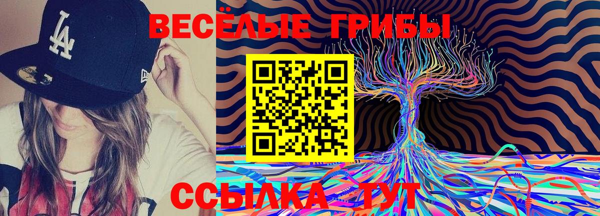 Галлюциногенные грибы MAGIC MUSHROOMS  Вход с VPN  Алексеевка 